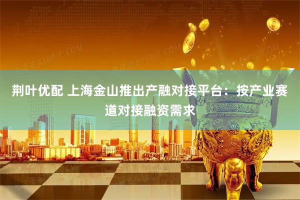 荆叶优配 上海金山推出产融对接平台:按产业赛道对接融资需求