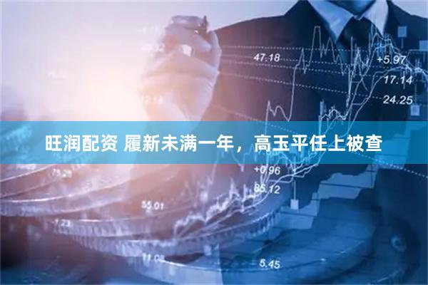 旺润配资 履新未满一年,高玉平任上被查