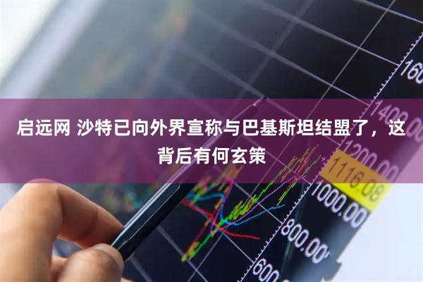 启远网 沙特已向外界宣称与巴基斯坦结盟了,这背后有何玄策