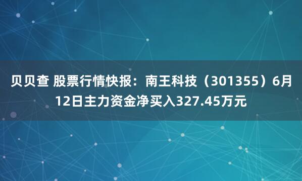 贝贝查 股票行情快报：南王科技（301355）6月12日主力资金净买入327.45万元
