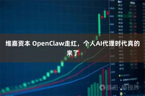 维嘉资本 OpenClaw走红，个人AI代理时代真的来了