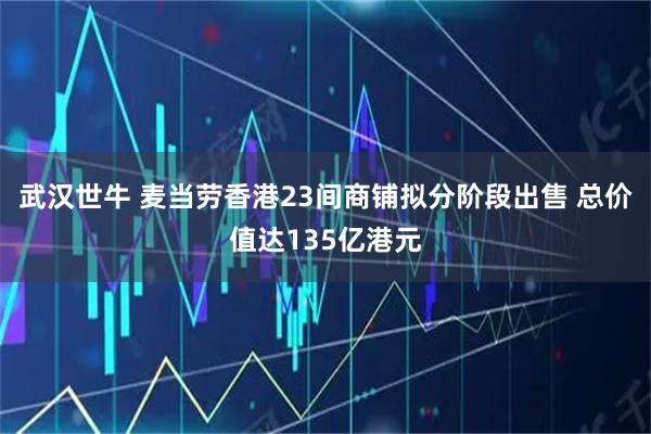武汉世牛 麦当劳香港23间商铺拟分阶段出售 总价值达135亿港元
