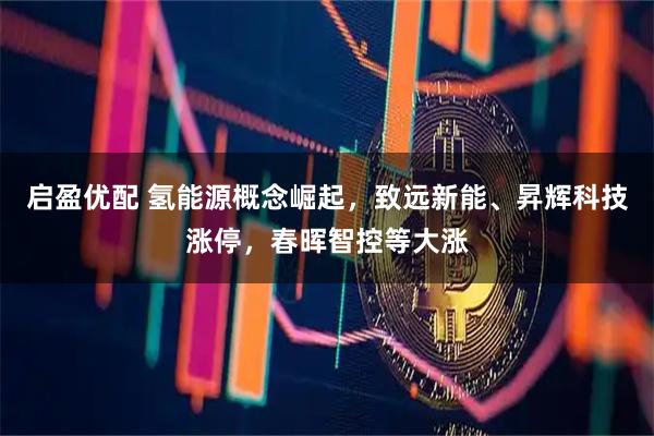 启盈优配 氢能源概念崛起,致远新能、昇辉科技涨停,春晖智控等大涨