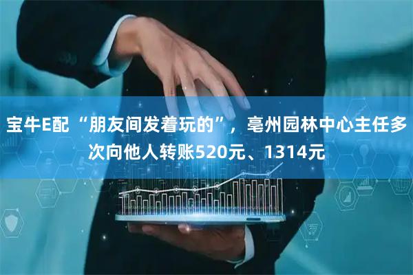 宝牛E配 “朋友间发着玩的”，亳州园林中心主任多次向他人转账520元、1314元
